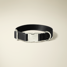 Jet Black Silver Collar