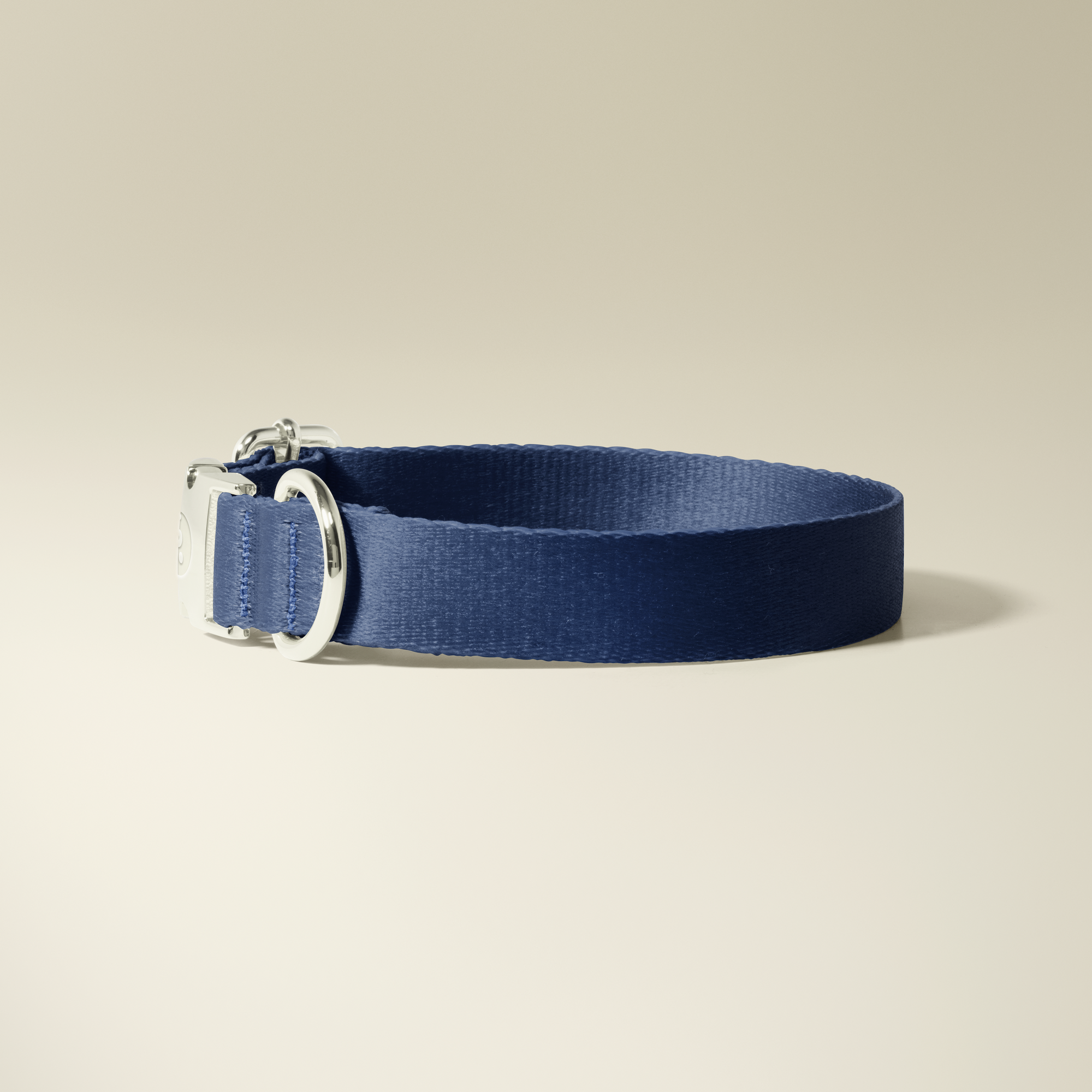 Royal Blue Silver Collar