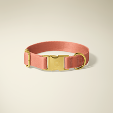 Rosy Royalty Gold Collar