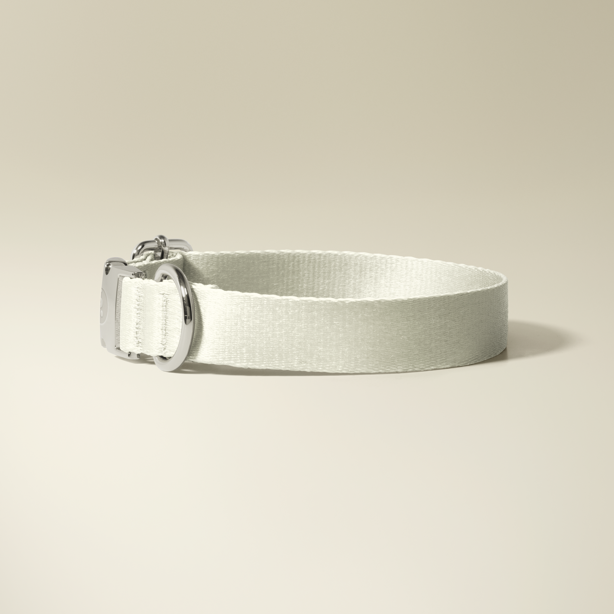 Frosted Silver Collar