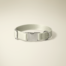 Frosted Silver Collar