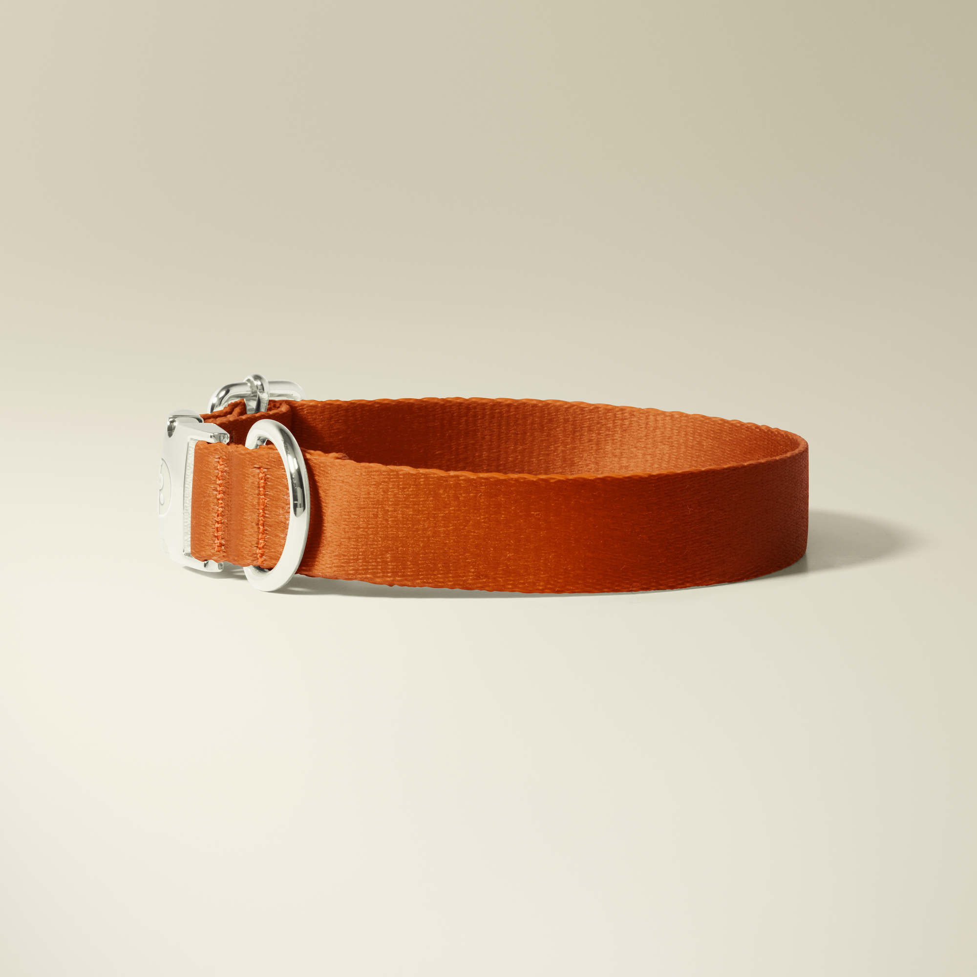 Sienna Silver Collar