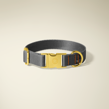 Midnight Gold Collar