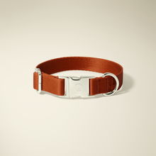 Sienna Silver Collar