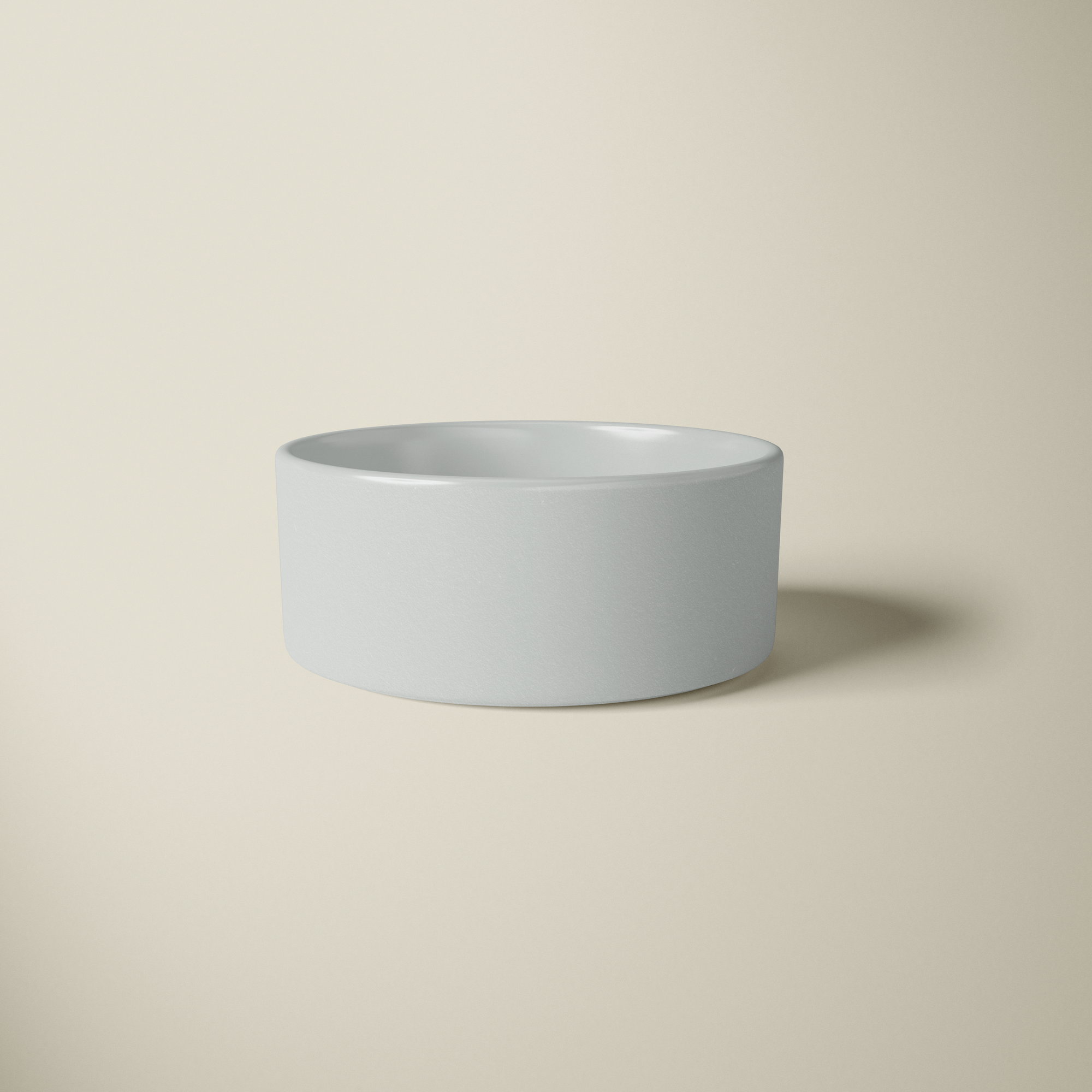 Chic Food Bowl