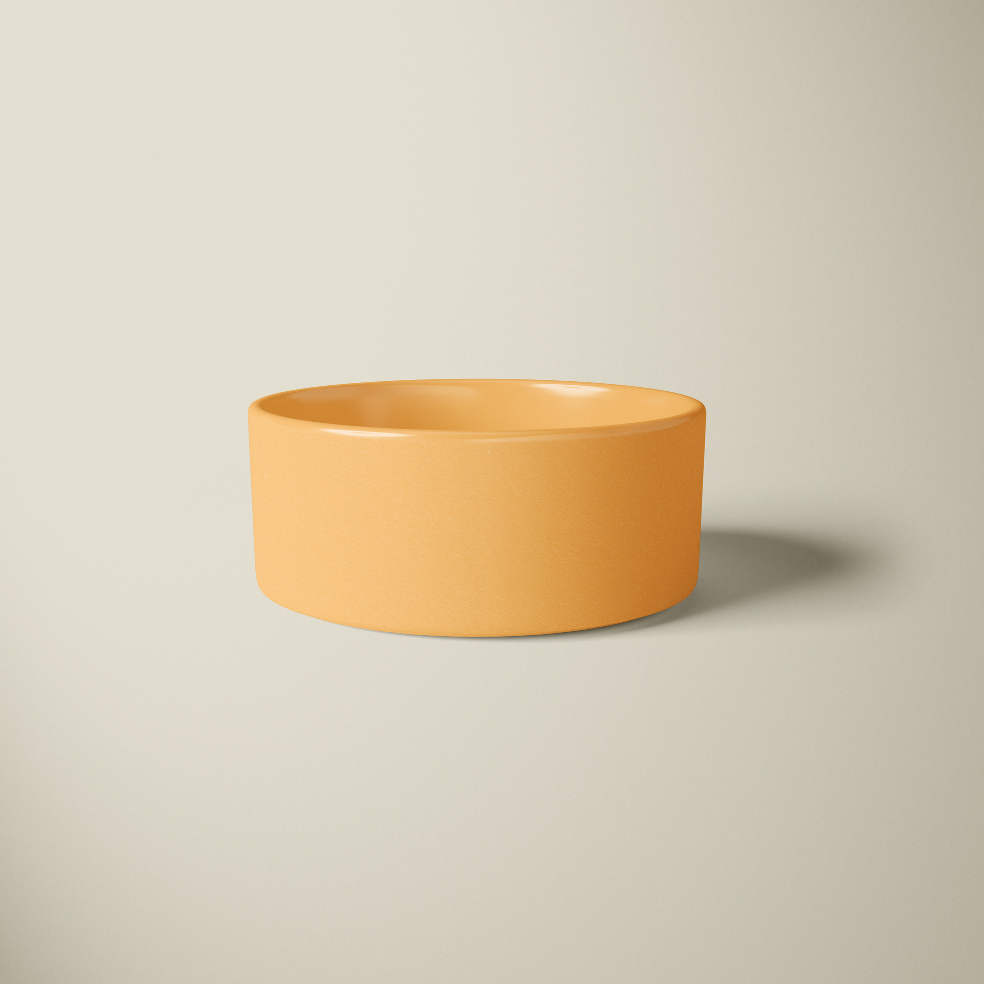 Chic Food Bowl
