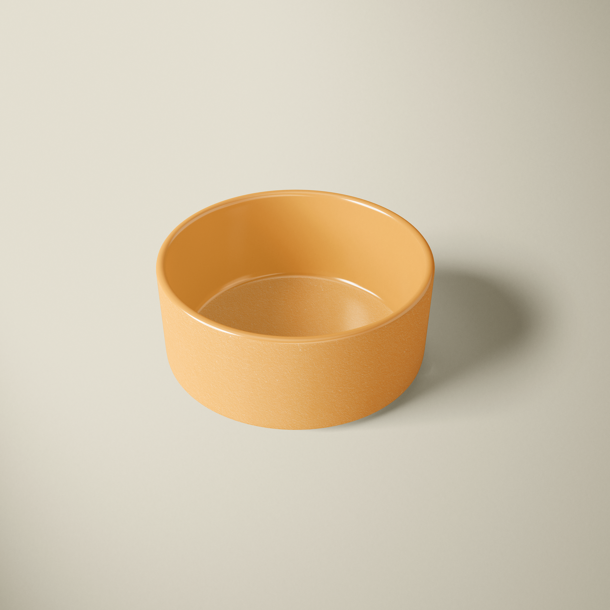 Chic Food Bowl
