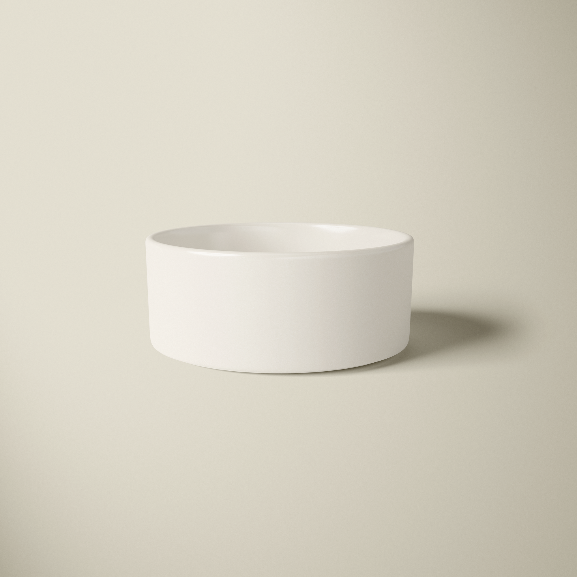 Chic Food Bowl