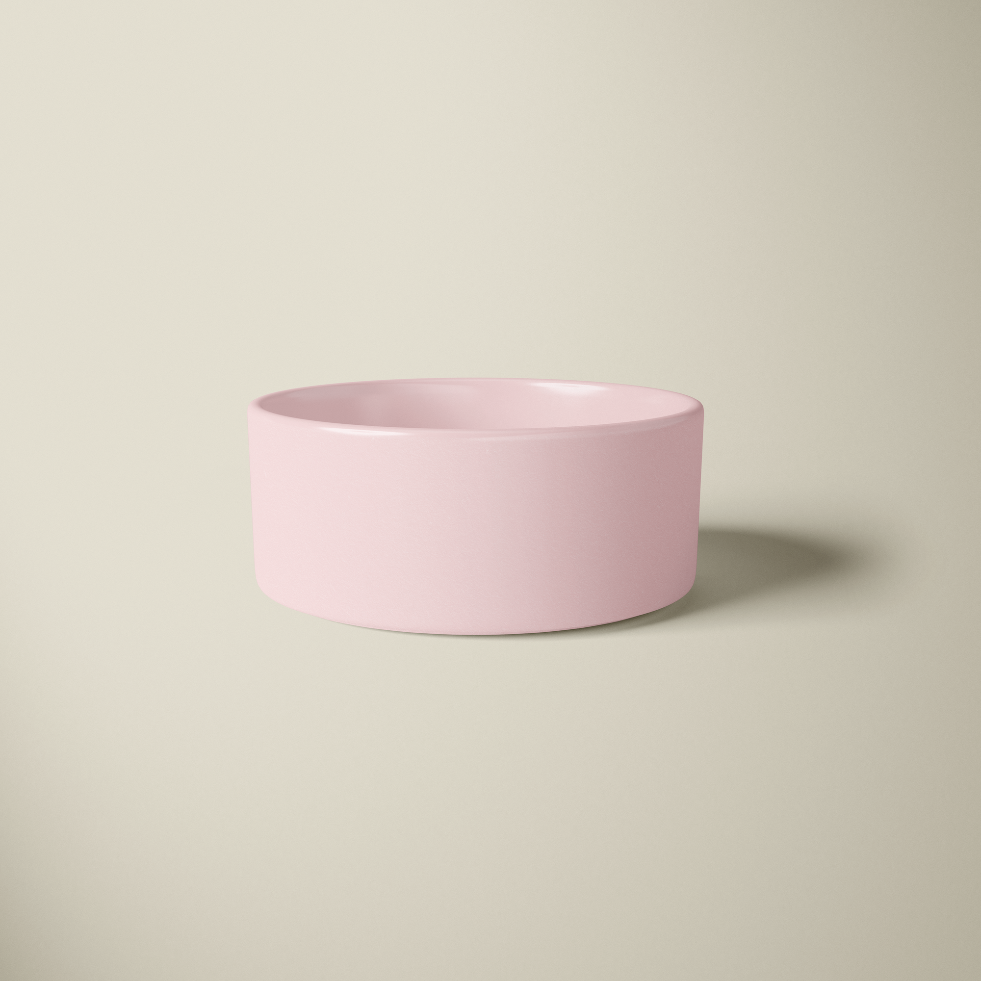 Chic Food Bowl