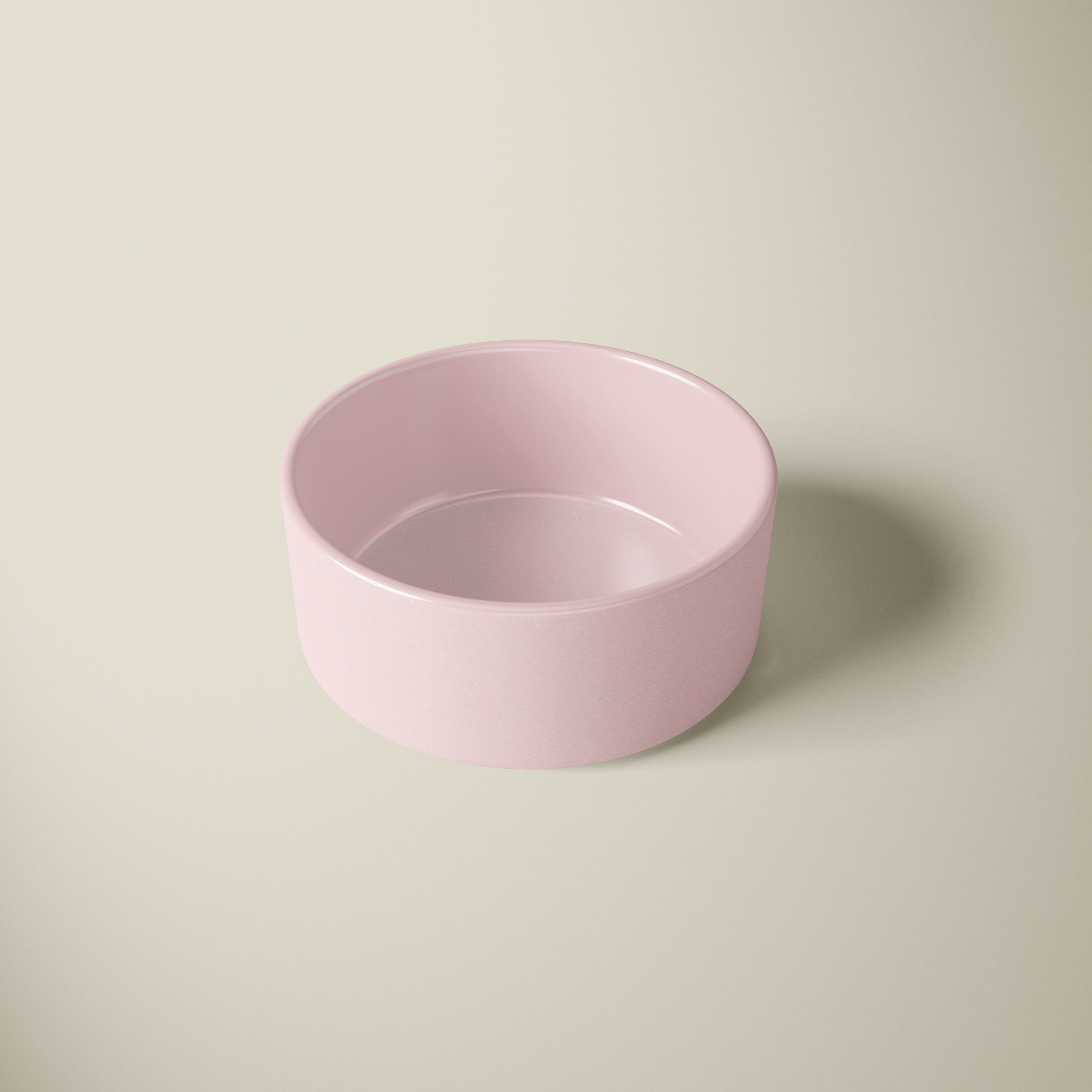 Chic Food Bowl